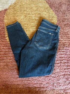 Everlane Indigo The Way High High-Rise Skinny Jeans for Women